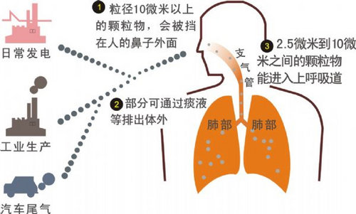 雾霾天不做吸尘器 荐8款配空气净化车型