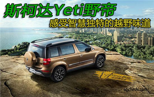 上海大众第二款SUV野帝上市发布会