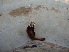 说一说今年参加的雪佛兰4S店的精彩活动