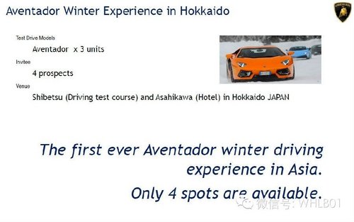 日本北海道 Aventador 冰雪极速体验”
