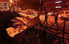 大连宝马高速失控撞电线杆 车身面目全非
