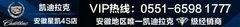 安徽凯迪拉克ATS 岁末冲关 马上有礼