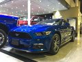 18款福特野馬超級(jí)動(dòng)力跑車 降價(jià)分期付款