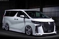 豐田埃爾法四驅(qū)MPV 豪華商務(wù)高福利熱賣