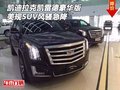 凱迪拉克凱雷德豪華版 美規SUV風騷急降