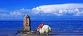 西寧市內(nèi)必去景點(diǎn)有哪些 自駕推薦這款車