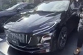 紅旗全新純電動轎車曝光！ 采用比亞迪“刀片電池”