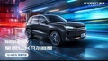 星途LX凡爾賽開啟預(yù)售 12-14萬元 本月19日上市！