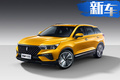 一汽布局4大動(dòng)力平臺(tái) 奔騰T77國(guó)6版下月將量產(chǎn)