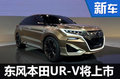 謳歌MDX將”換標(biāo)”國(guó)產(chǎn) 售價(jià)大幅下調(diào)-圖