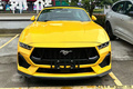 福特4S店：新Mustang野马6月21日上市！卖40万起？