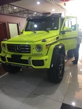 2018款奔馳G550 4x4版越野王挑戰(zhàn)全地形