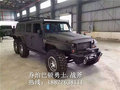 喬治巴頓勇士/戰(zhàn)斧天津現(xiàn)車(chē) 個(gè)性定制價(jià)