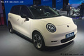 江淮釔為3車展開訂！撞臉“歐拉好貓” 續(xù)航600km