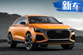 奧迪Q8概念車中國首發 將引入6款全新SUV產品