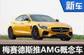 梅賽德斯-AMG將推GT4概念車 3月亮相