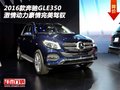 2016款奔馳GLE350 激情動(dòng)力豪情完美駕馭