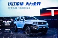 挑戰(zhàn)全球越野SUV第一品牌 坦克品牌4月銷量發(fā)布