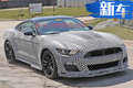 動力比肩Aventador 福特將推全新謝爾比GT500