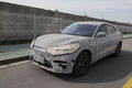 國產(chǎn)版福特Mustang Mach-E諜照曝光 新車有望年內(nèi)上市