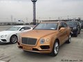 全新进口宾利添越6.0T 平价专惠天津现车