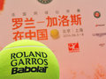 东风标致3008/508RG 引爆法网红土激情