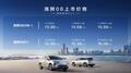 饋電油耗3L今年最值得期待中型SUV比亞迪海獅06北京上市13.98萬起
