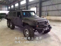 喬治巴頓專(zhuān)賣(mài) 勇士/戰(zhàn)斧港口現(xiàn)車(chē)可預(yù)定