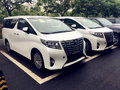豐田埃爾法歐規現車 行情特惠購車好時機