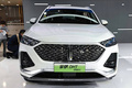 魏牌拿铁PHEV 13天后上市！跑1公里仅需4分钱