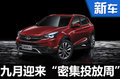 8款新車下周密集發(fā)布 自主品牌占比超6成