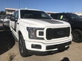 18款福特F150接受定制改裝 實用皮卡車型