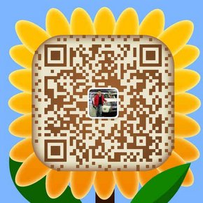 路虎揽胜5.0T四座创世短轴 分期贷款流程-图9