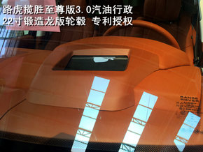 16款路虎揽胜行政 3.0至尊龙版黑棕白红-图8