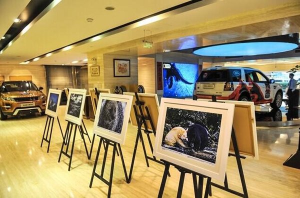 观永达路虎 国家地理 影展享购车惊喜高清图片