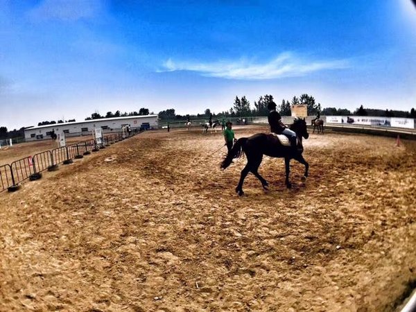 纵享生活 合肥广汽丰田汉兰达马术体验营-图7