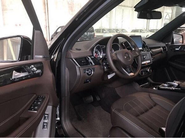 18款奔驰GLS450配置解析 年货齐全就靠它-图10