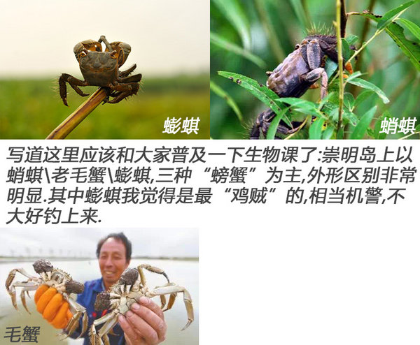 沪杭48小时游记 驾Jeep指南者探秘崇明-图6