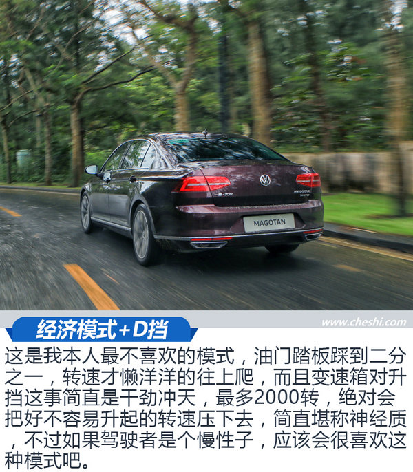无可争议的B级车王者 试驾新迈腾 380TSI旗舰型-图2