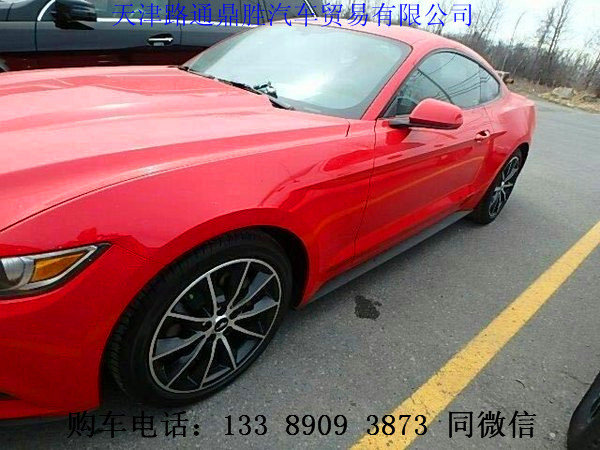 16款福特野馬特價現(xiàn)車 情調(diào)放縱撩妹超跑-圖3