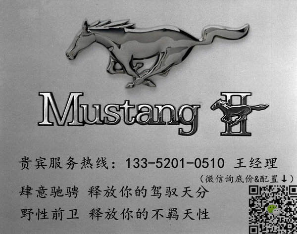 17款福特野馬現(xiàn)車 炫酷小跑最新行情批發(fā)-圖2