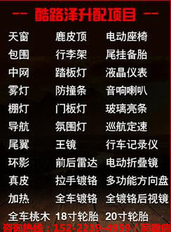 2017款中東版酷路澤4000新增加坦克模式-圖2