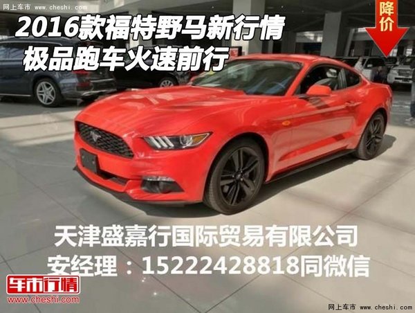 2016款福特野马新行情 极品跑车火速前行-图1