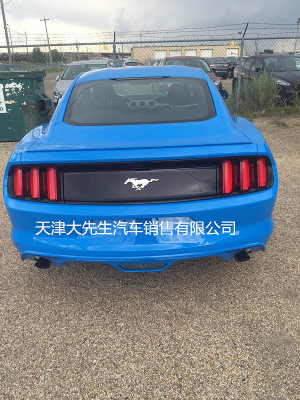 上市跑車2017款福特野馬 標(biāo)配2.3T自動(dòng)擋-圖4