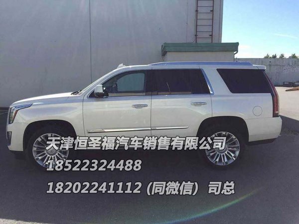 凱迪拉克總統(tǒng)一號(hào)加長(zhǎng)版5.98米 國(guó)內(nèi)一臺(tái)-圖3
