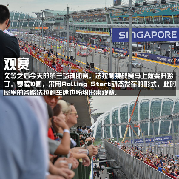 两天看8场F1比赛~不是事儿 记新加坡之旅-图3
