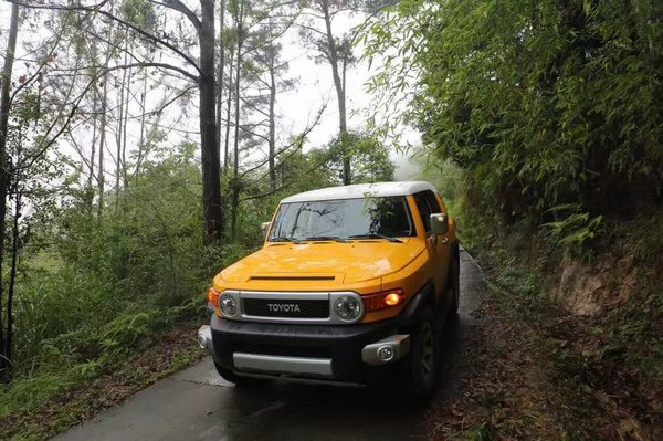 纯进口16款丰田酷路泽FJ 4.0外挂V658万-图5