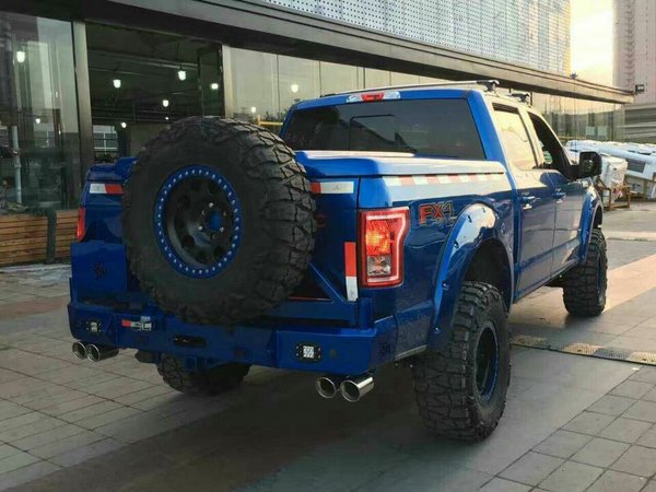 2016款福特F150热卖 皮卡改装显超凡个性-图7
