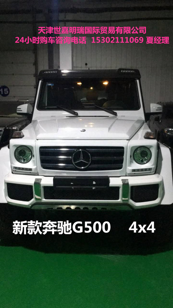 17款奔馳G5004x42越野 全球限量新駕入市-圖1