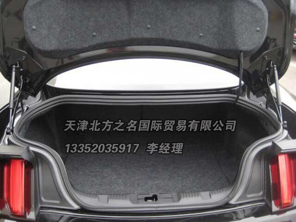 16款福特野馬2.3T現(xiàn)車(chē) 野馬最新底價(jià)甩賣(mài)-圖5